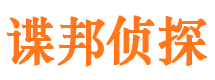 新县市私家侦探